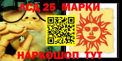 индика Сланцы