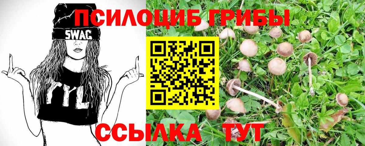 Галлюциногенные грибы MAGIC MUSHROOMS  Галлюциногенные грибы Magic Shrooms  где можно купить   Вход с VPN  Ногинск 