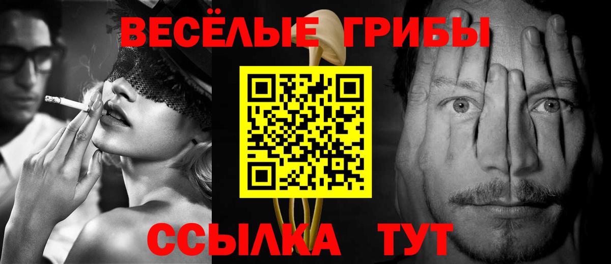 Псилоцибиновые грибы GOLDEN TEACHER Ногинск